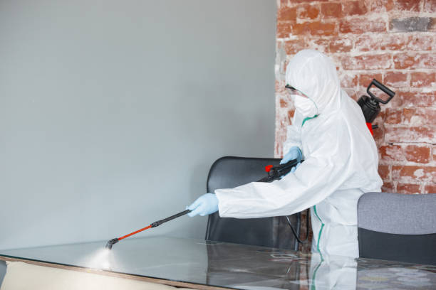 Best Residential Mold Inspection & Testing  in Ossun, LA