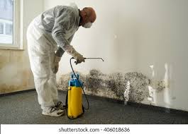 Best Forensic Mold Investigation  in Ossun, LA